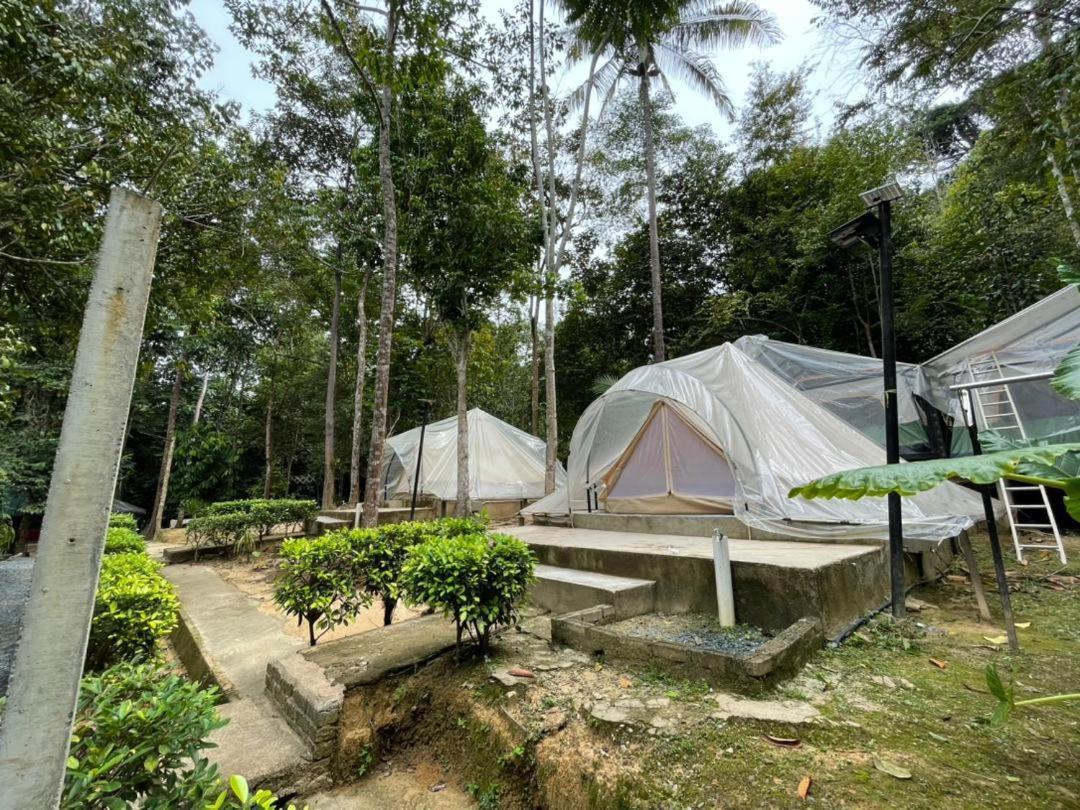 Danz Eco Resort Kuala Tahan Extérieur photo